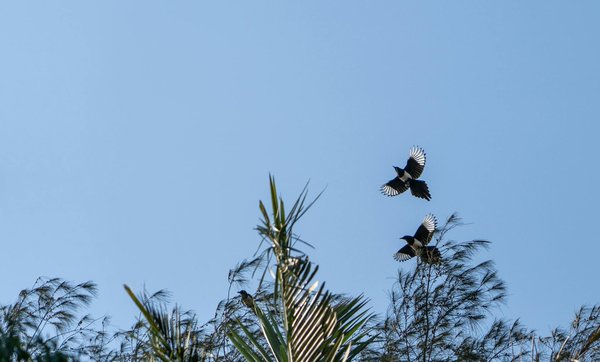 Libérez votre esprit : l"impact des techniques de relaxation sonore sur le stress post-traumatique