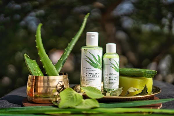 Aloe vera produits forever : explorez la nature pour votre bien-être